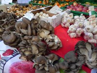 Nikon Coolpix 054  Mushrooms in the Lausanne market